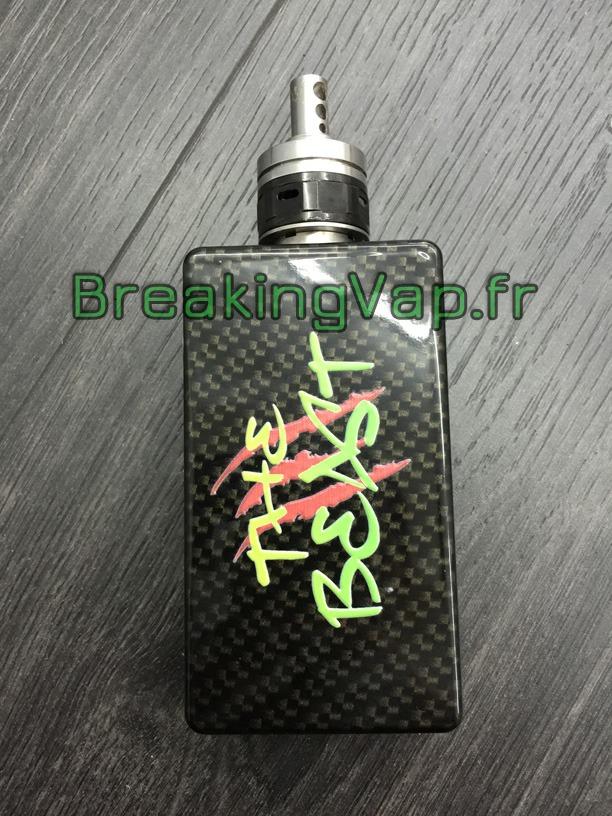 box, 26650, the beast, américaine, raptor, 200 watts, 200watts, mécanique, électronique, circuit, composant, intérieur, DIY, led, montage, made,