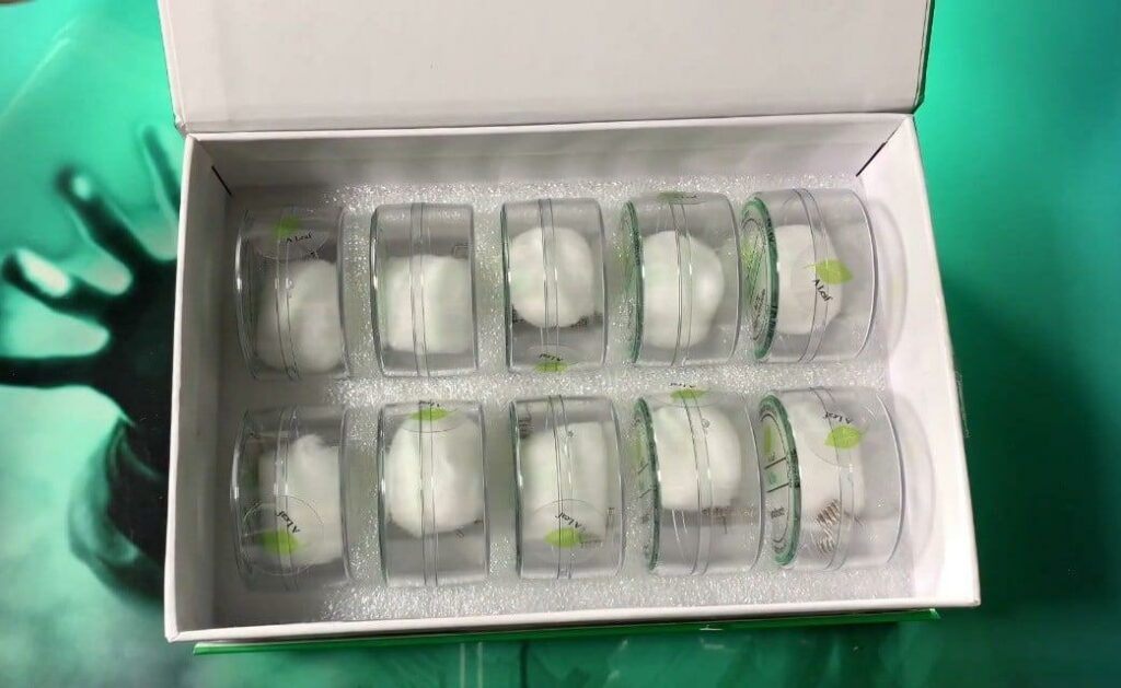 ALeaf Handmade Coils - Revue