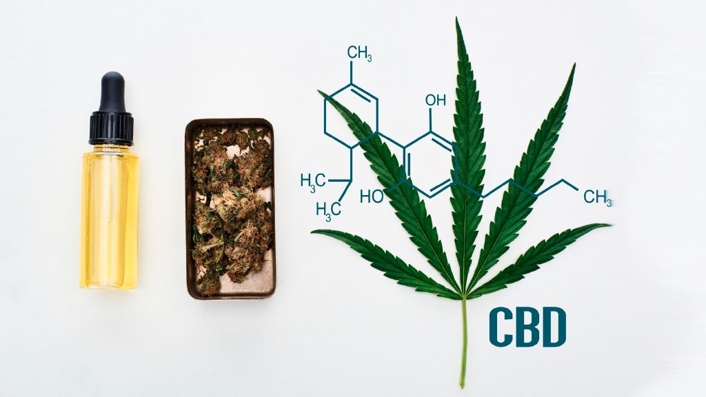 resine cannabis cbd